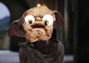 Mandrakes dad