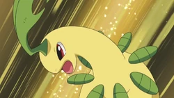Ash Bayleef
