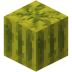 Melon