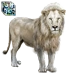 Item whitelion 01 lvl5