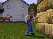 Jack farming