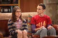Sheldon amy.jpg