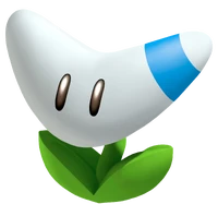Boomerangflower