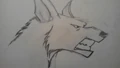 Beast wolf.jpg