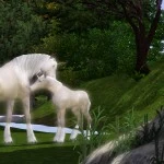 Unicorn 2.jpg (9 KB) Unicorn 2