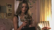 PLL213-00479