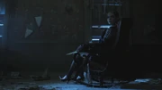 PLL213-01184