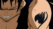 Gajeel FT mark