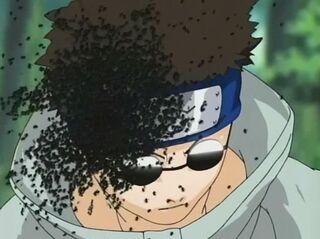http://images2.wikia.nocookie.net/__cb20111023143155/naruto/pl/images/thumb/a/ae/Mushi.jpg/320px-Mushi.jpg