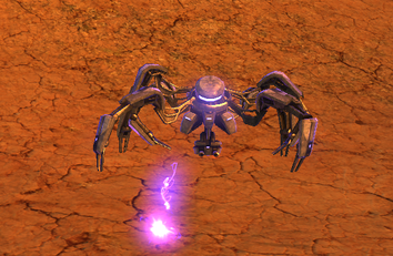 Colony sand spider