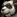 IconSmall Pandaren Male
