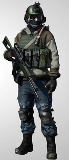 Ruasaek971bf3.PNG