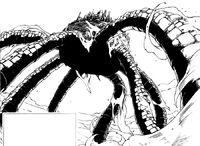 Eight legged Nirvana