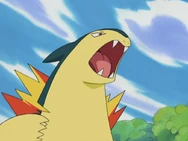 Mr Moore Typhlosion