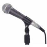 Mic