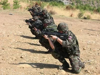 F2000irl.jpg
