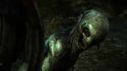 Witcher2 2011-10-18 20-26-19-99