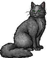 Pebblefoot.warrior