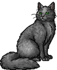 Pebblefoot.warrior