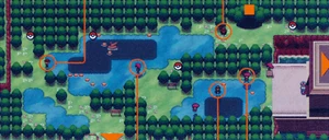 Unova Route 8