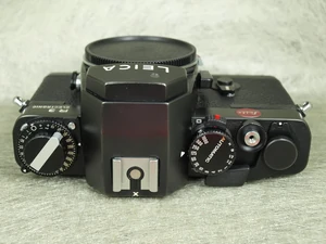 P7253429