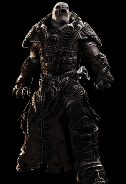 RAAM Gears of war 3