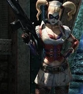 Harley-Quinn-arkham-asylum-9583076-228-259