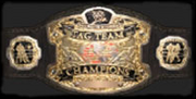 WorldTagTeambelt