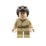 Ani-helmet