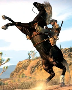 War horse.jpg