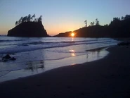 Draft lens4685932module33859052photo 1242424097la push wa beach