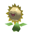 Sunflora Rumble