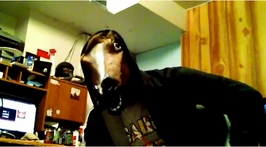 Sp00n IRL