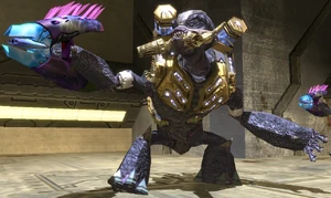 Grunt hereje
