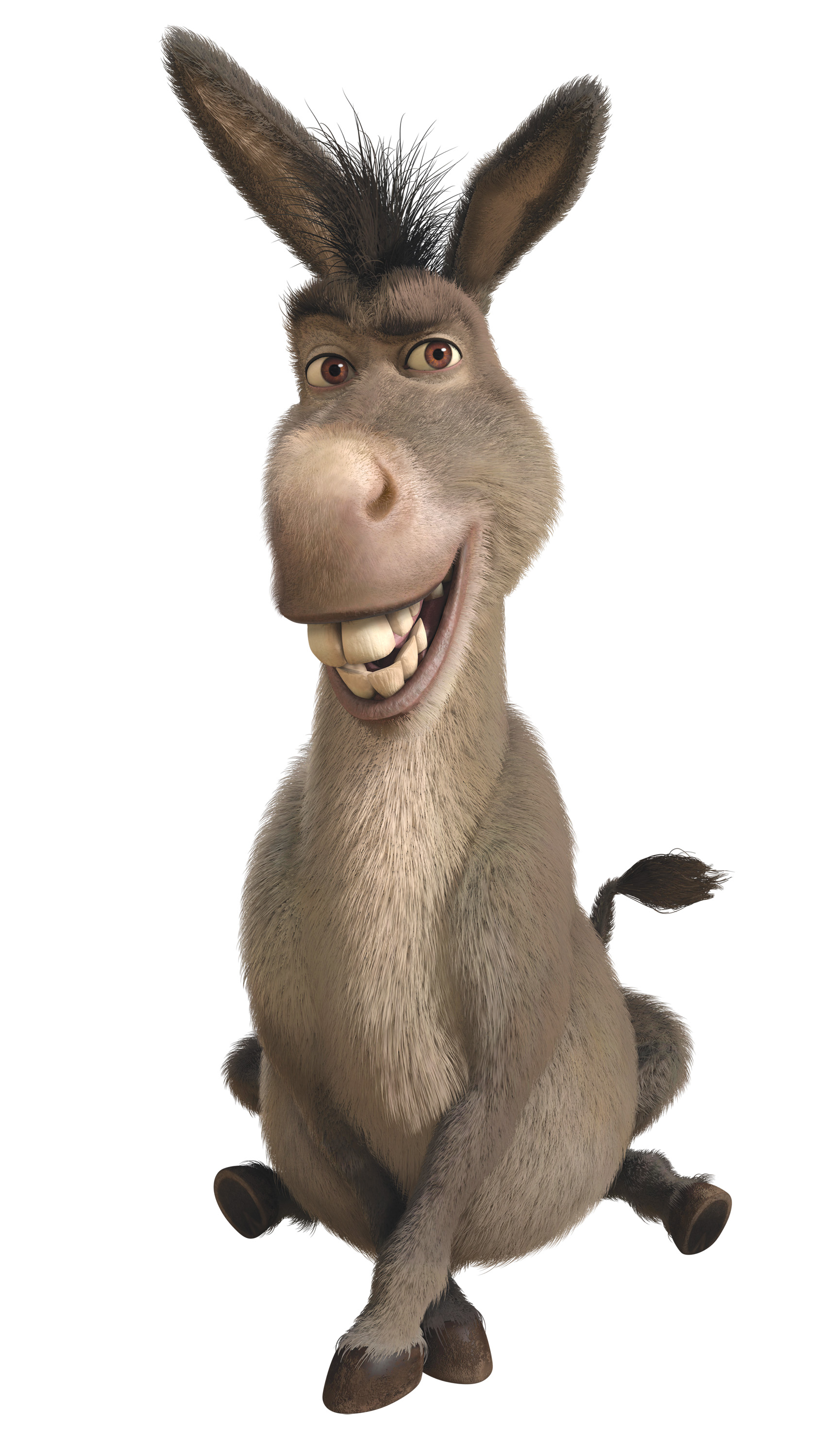 Donkey WikiShrek The wiki all about Shrek