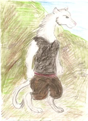 ^SilverFerret^