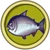 Salmón Rey