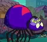 Jeff the Spider