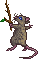 Black Keep Rat Hatchling.gif