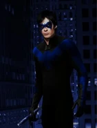 Nightwingmanip