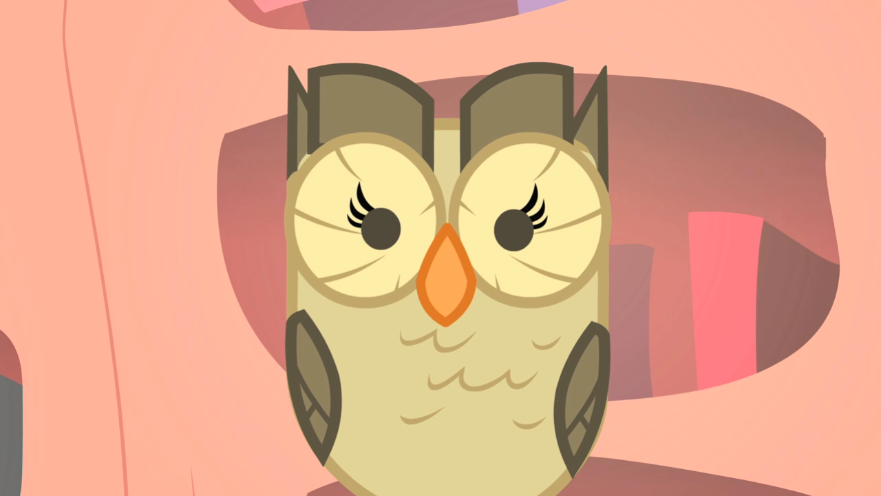 Owlowiscious_staring_S1E24.png