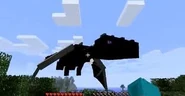 Enderdragon 1