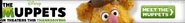 Dis ad 4