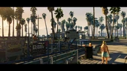 Muscle Sands