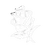WhiteRose