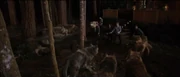 Sam attack