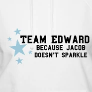 Team-edward design