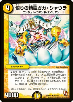 Dmr1-43