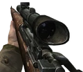 Springfield CoD2