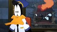 Working Duck (4)